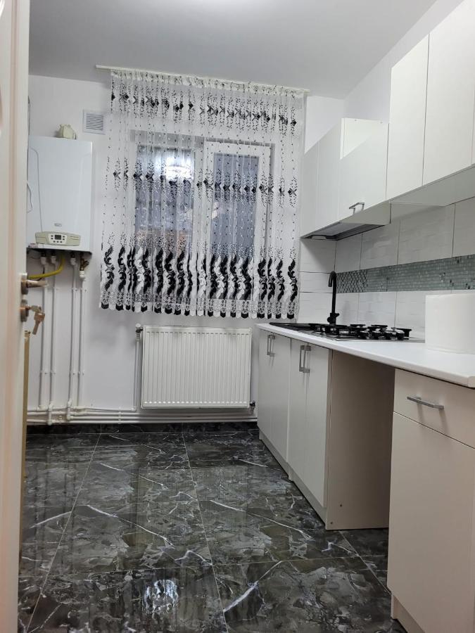 Apartament Regim Hotelier 2 Iasi Exteriér fotografie